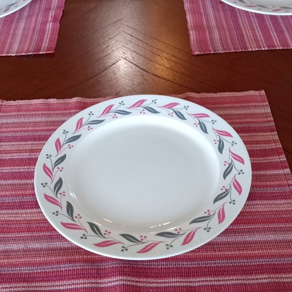 Homer Laughlin dinnerware . - Picture 3 of 16